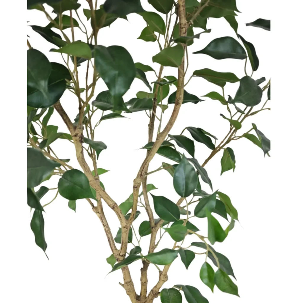 Kunstig Ficus Retusa 120 cm.