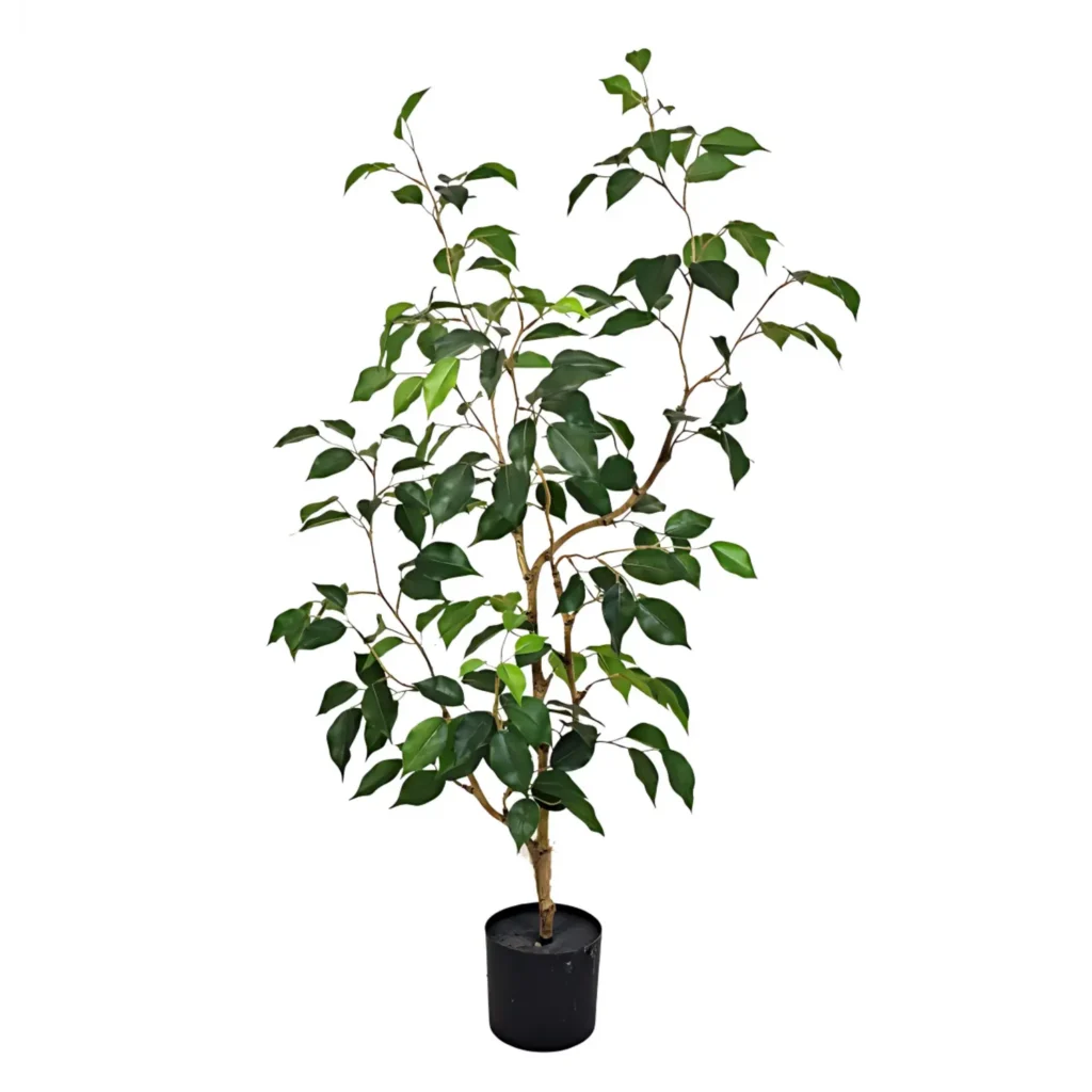 Kunstig Ficus Retusa H: 90 cm.