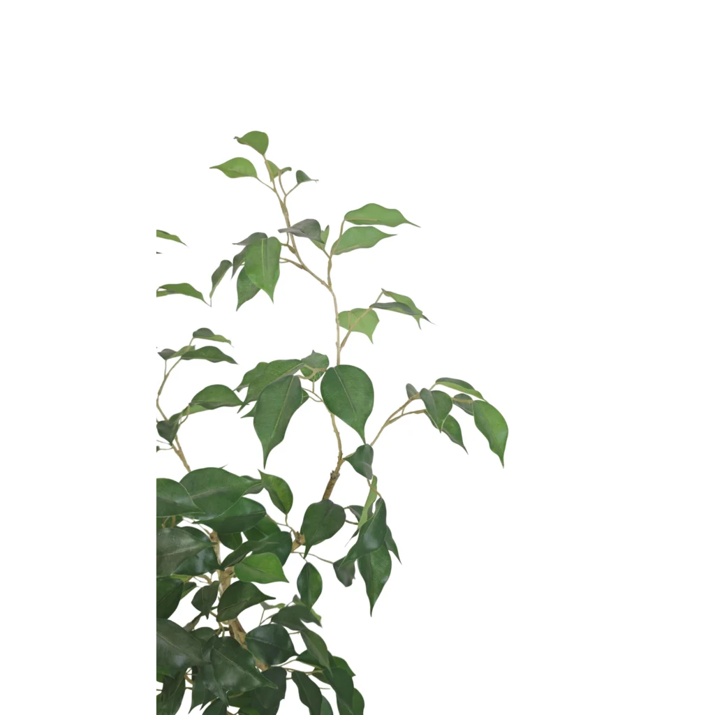 Kunstig Ficus Retusa 90 cm.