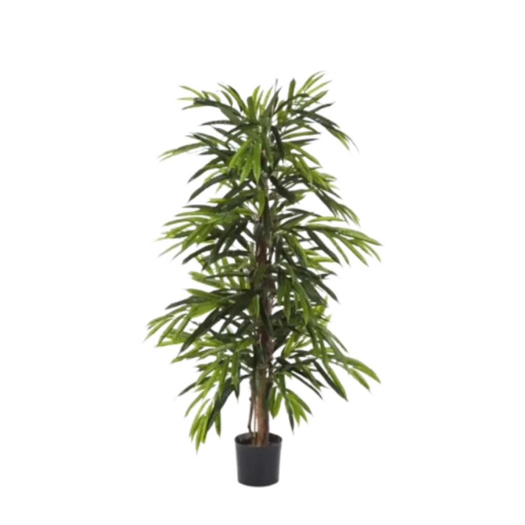 Kunstig Royal Longifolia FR - H: 180 cm.