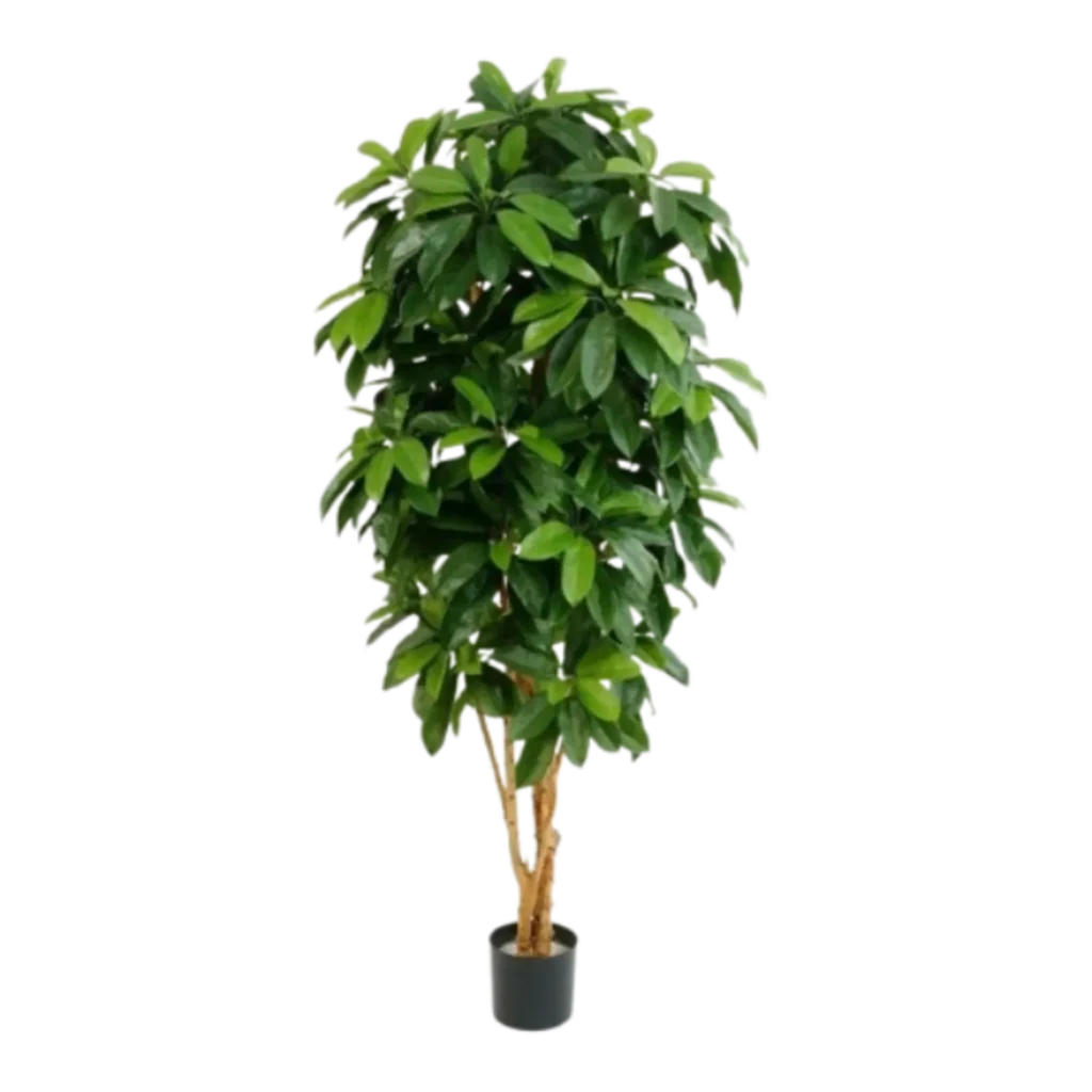 Kunstig Schefflera FR H: 170 cm.