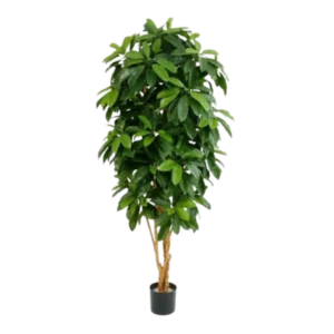 Kunstig Schefflera FR H: 170 cm.