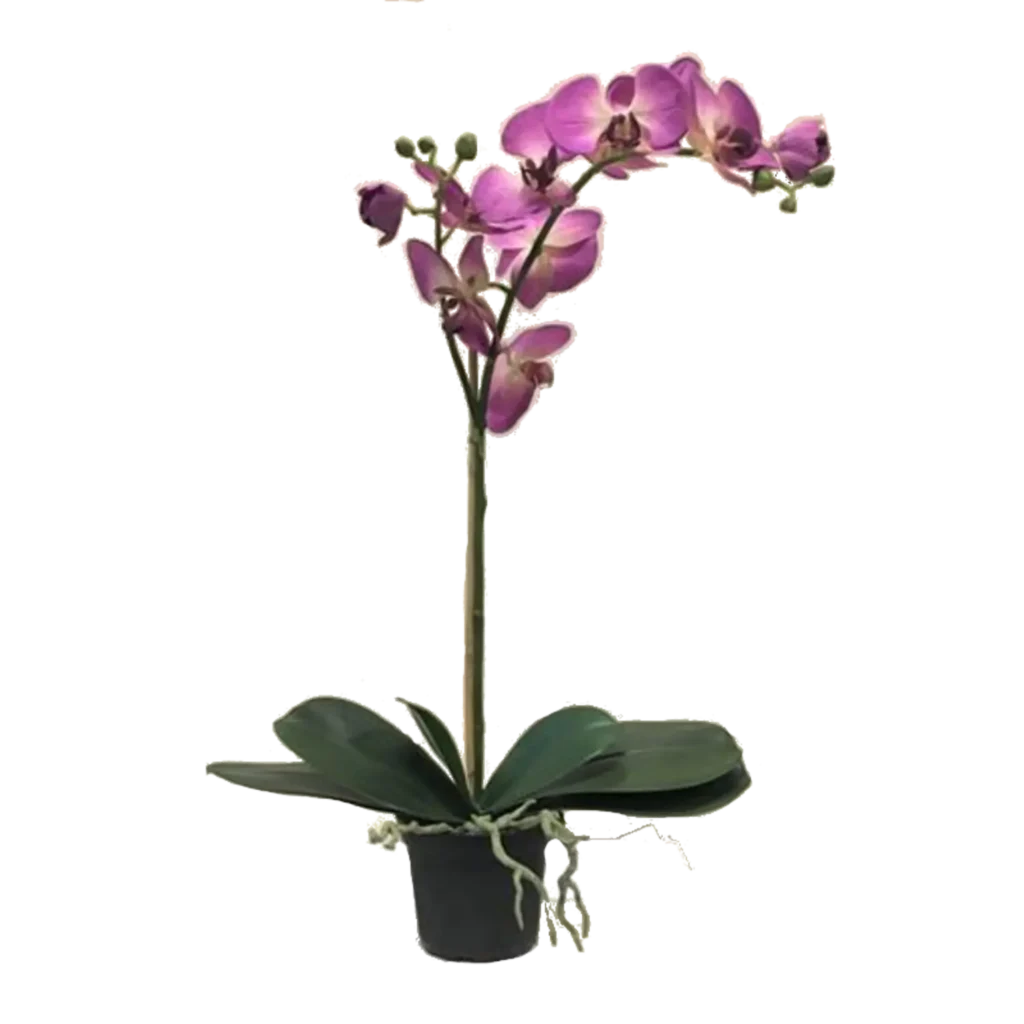 Kunstig orkidé pink - H: 60 cm.
