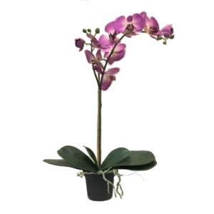 Kunstig orkidé pink - H: 60 cm.