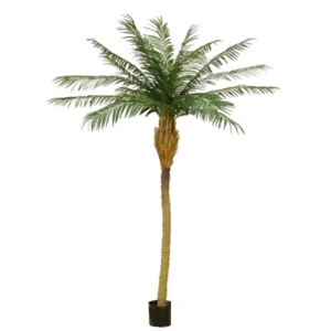 Kunstig phoenix Palme - H: 230 cm.