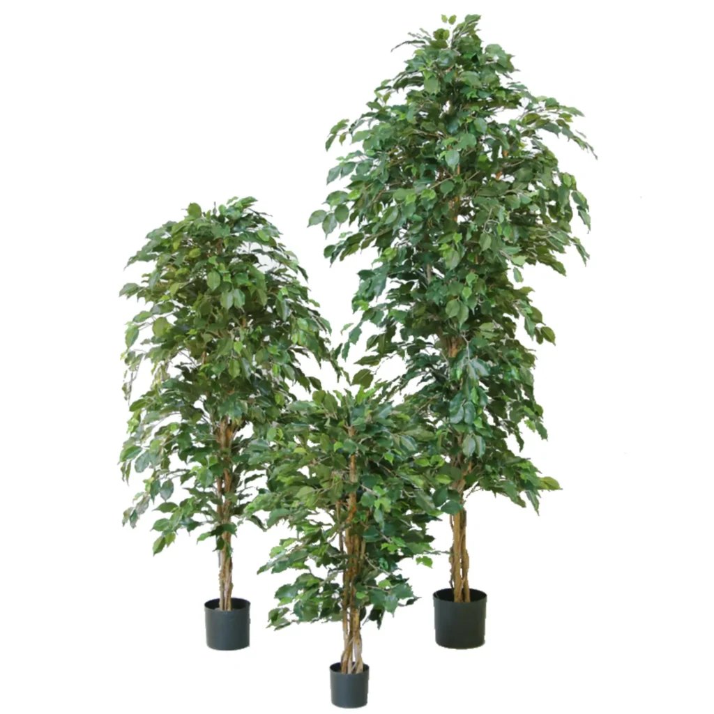 Kunstig Ficus H: 160 cm.