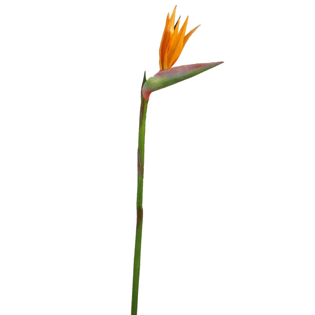 Kunstig Paradisfugl blad L: 90 cm.
