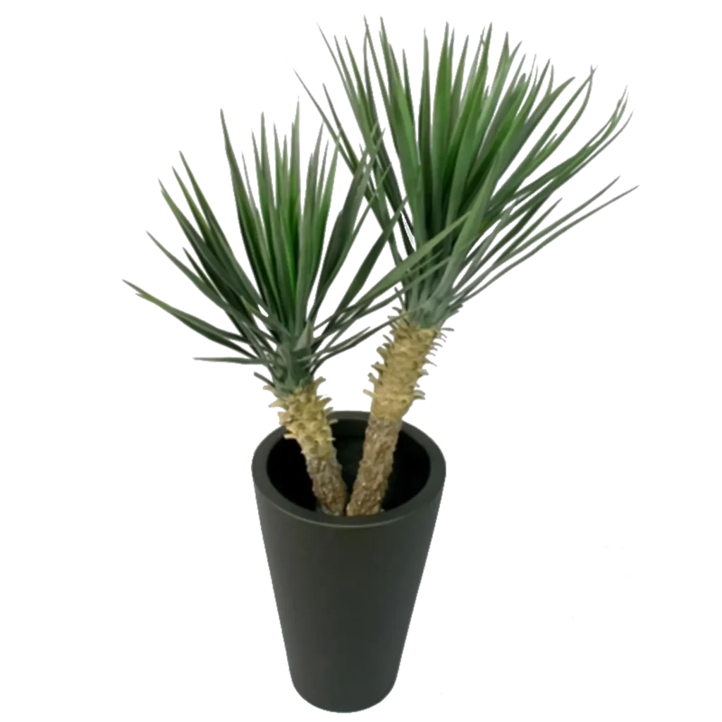 Kunstig Rostrata palme H: 100 cm.