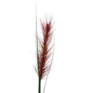 Kunstig Ethiopian græs stilk L: 140 cm.