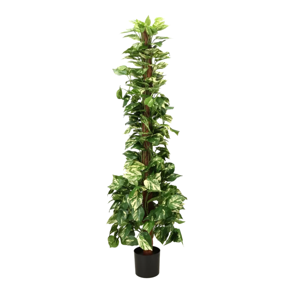 Kunstig pothos ranke på stamme - H: 150 cm.