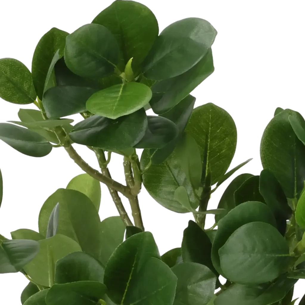 Closeup af Kunstig Ficus Panda 38 cm .