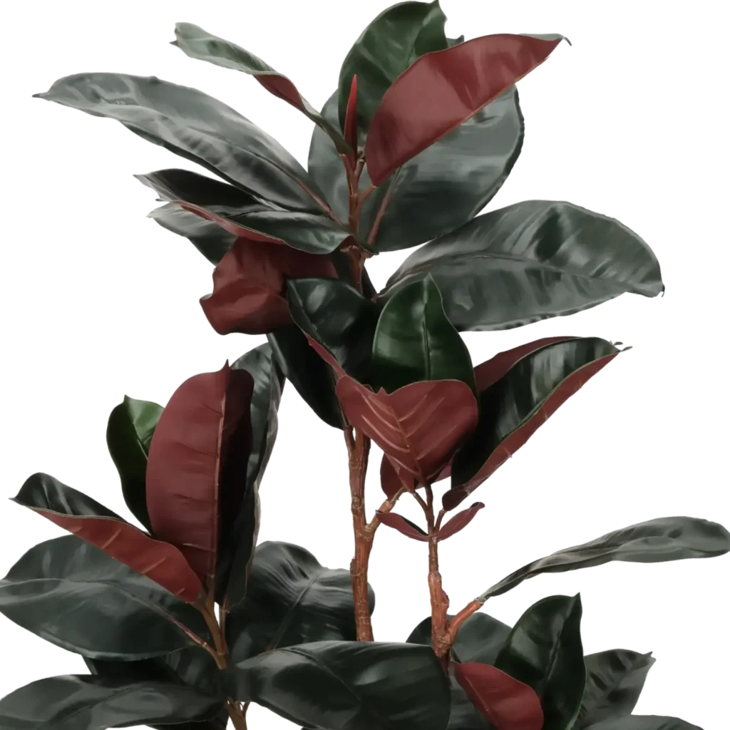 Closeup af Kunstig Ficus elastica 120 cm.