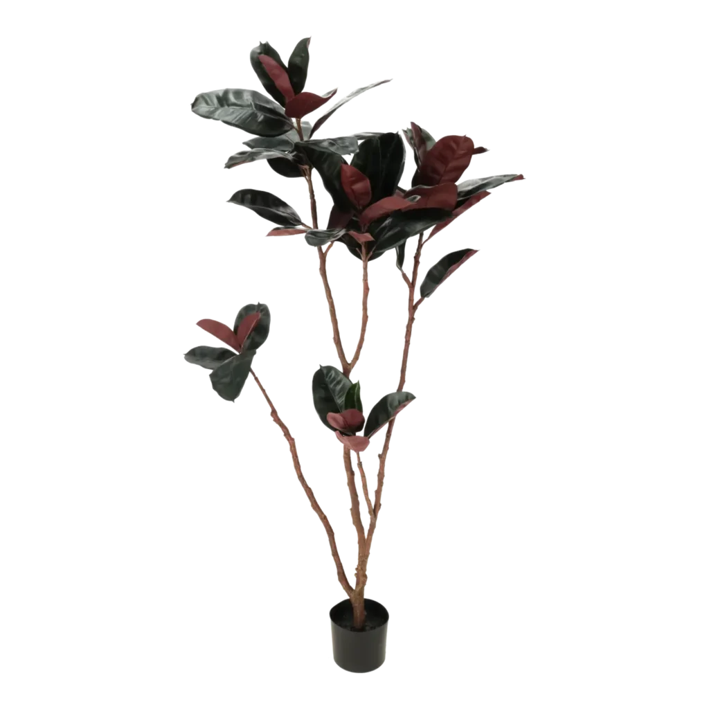 Kunstig Ficus elastica H: 150 cm.