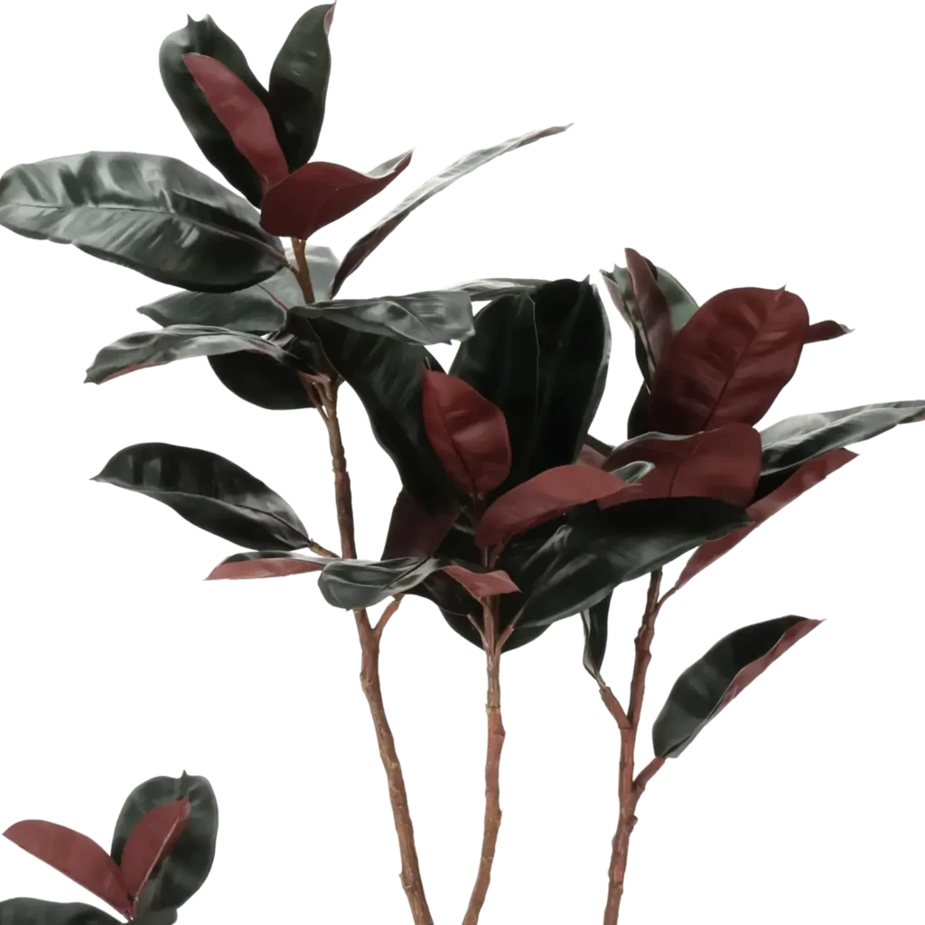 Closeup af Kunstig Ficus elastica 150 cm.