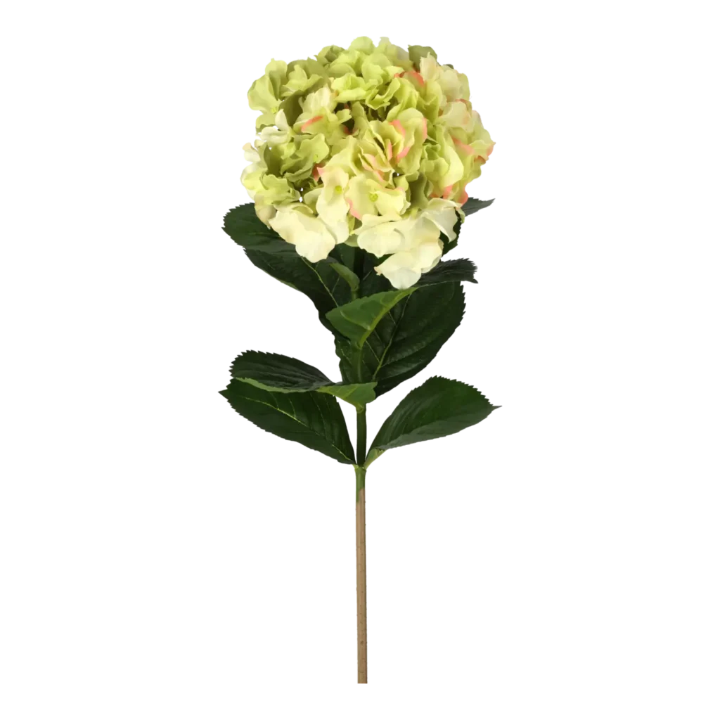 Kunstig hortensia stilk i creme/lime - L: 50 cm.
