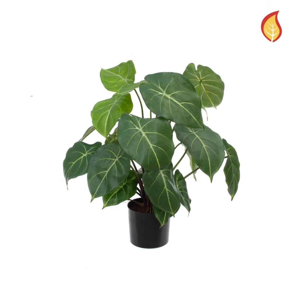 Kunstig Syngonium fr H: 58 cm.