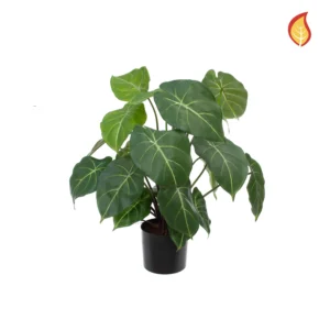 Kunstig Syngonium fr H: 58 cm.