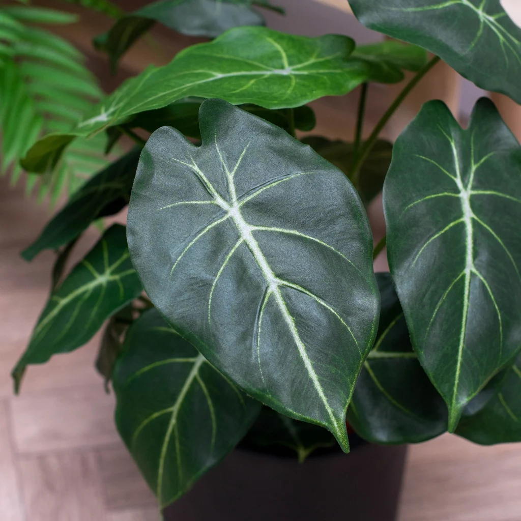 Kunstig Syngonium fr H: 58 cm.