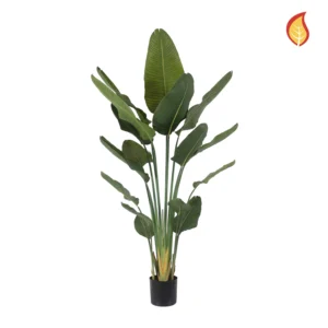 Kunstig Traveller palme FR H: 180 cm.