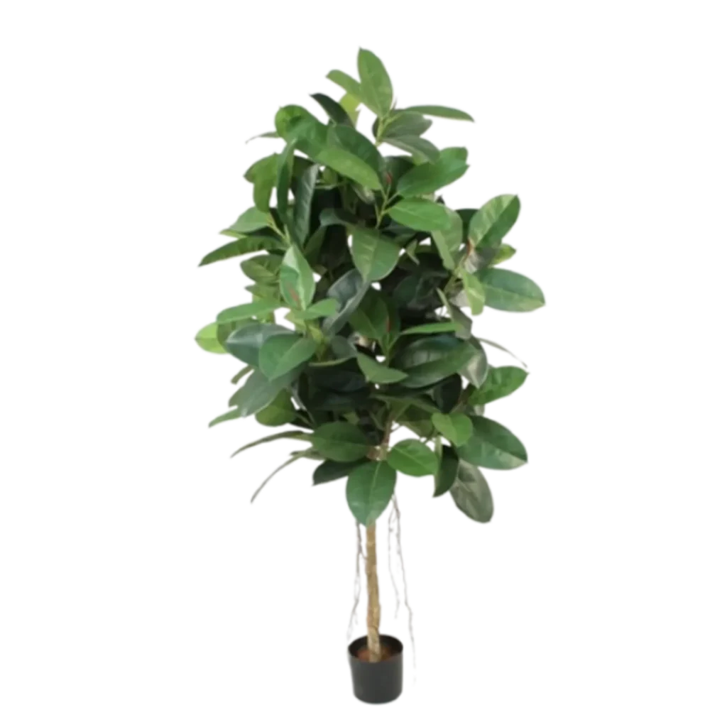 Kunstig Gummiplante H: 170 cm.