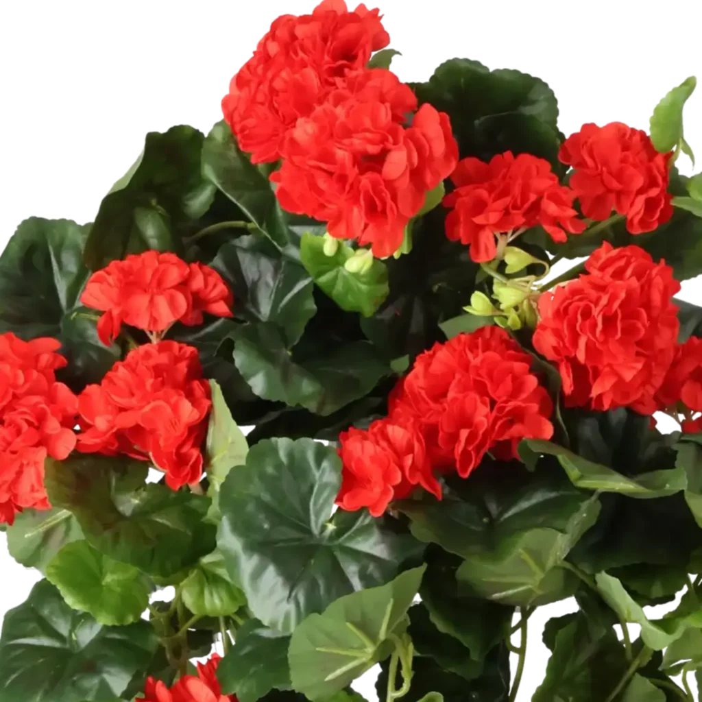 Closeup af Kunstig pelargonie hængeplante rød - L: 65 cm.