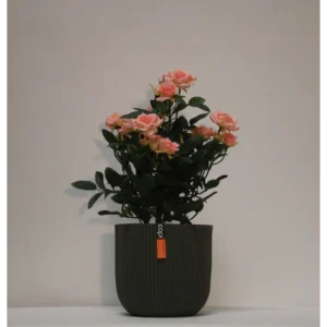 Kunstig rosenbusk rosa - H: 33 cm.