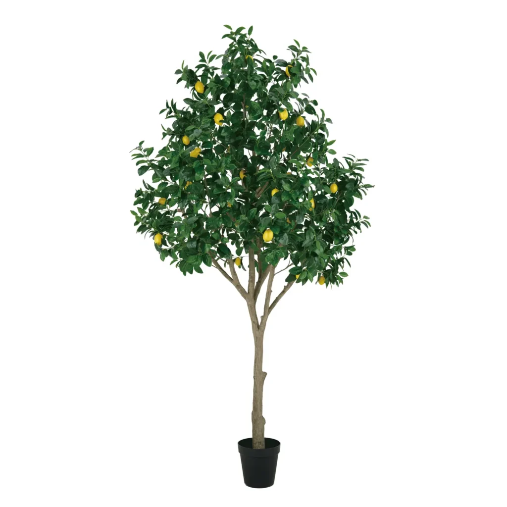 Kunstig Citrontræ - H: 300 cm.
