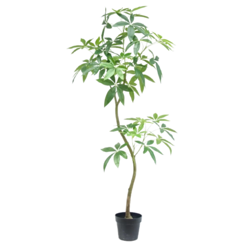 Kunstig Pachira - H: 150 cm.