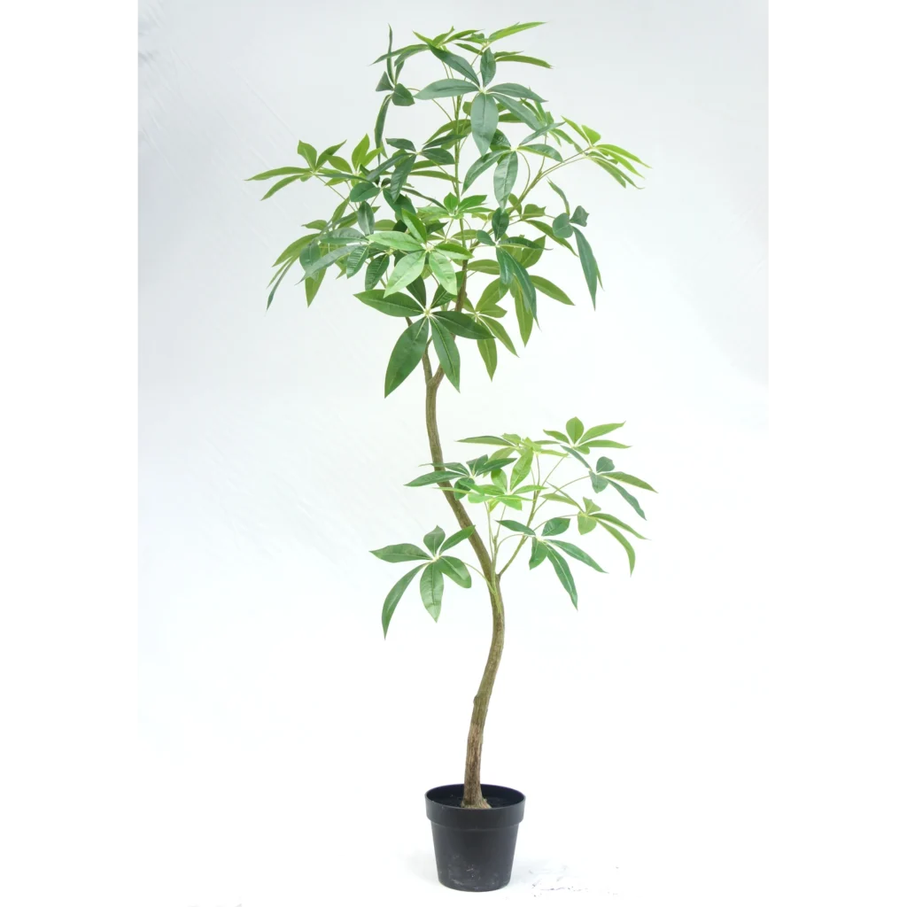 Kunstig Pachira - H: 150 cm.