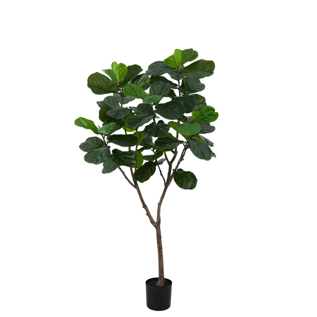 Kunstig Ficus Lyrata H: 180 cm.