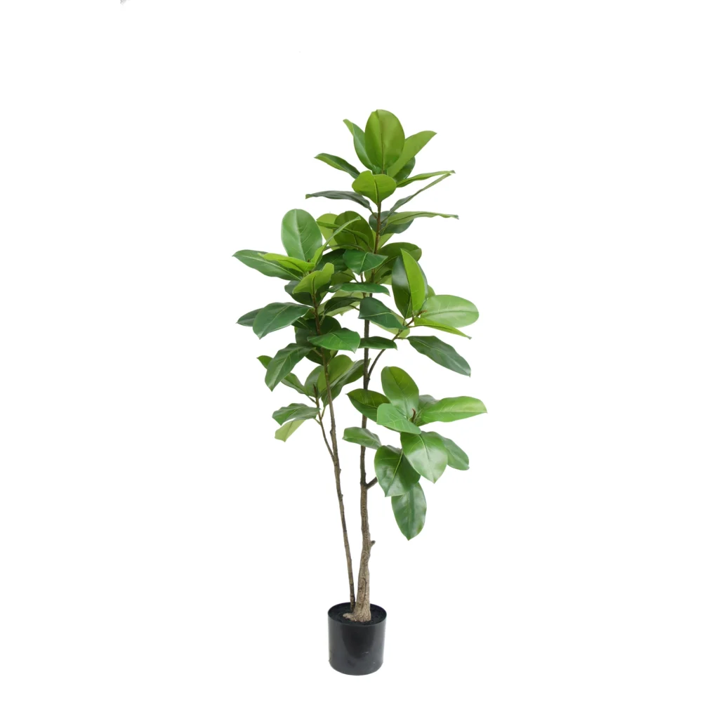 Kunstig Ficus Panda - H: 150 cm .