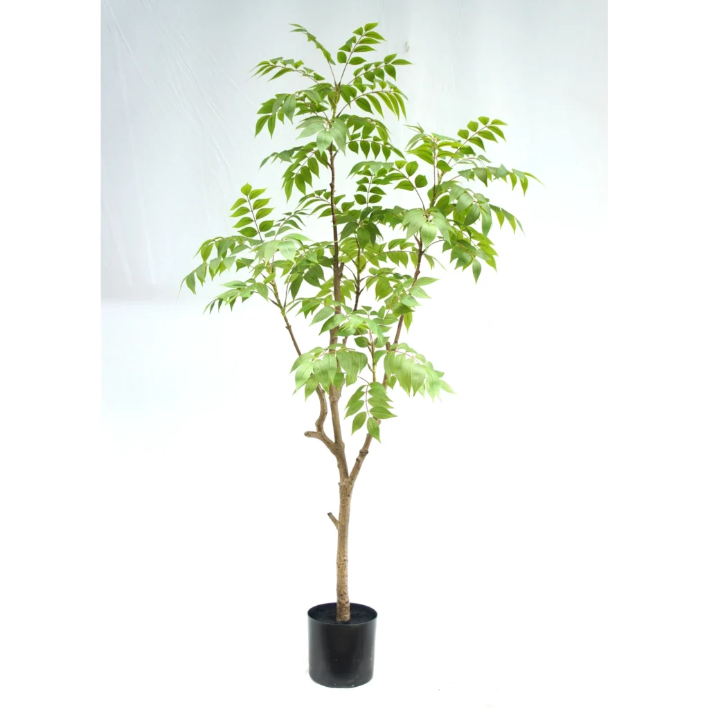 Kunstig Murraya - H: 150 cm.