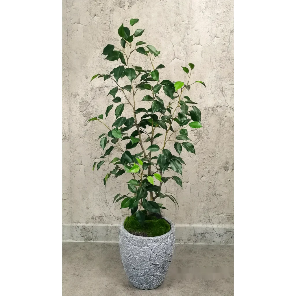 Kunstig Ficus Retusa 90 cm.