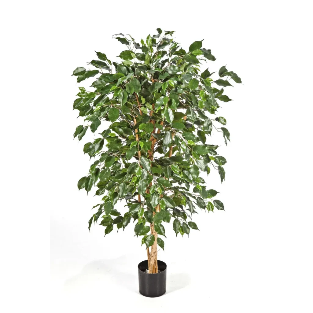 Kunstig Ficus Natasja 180 cm.