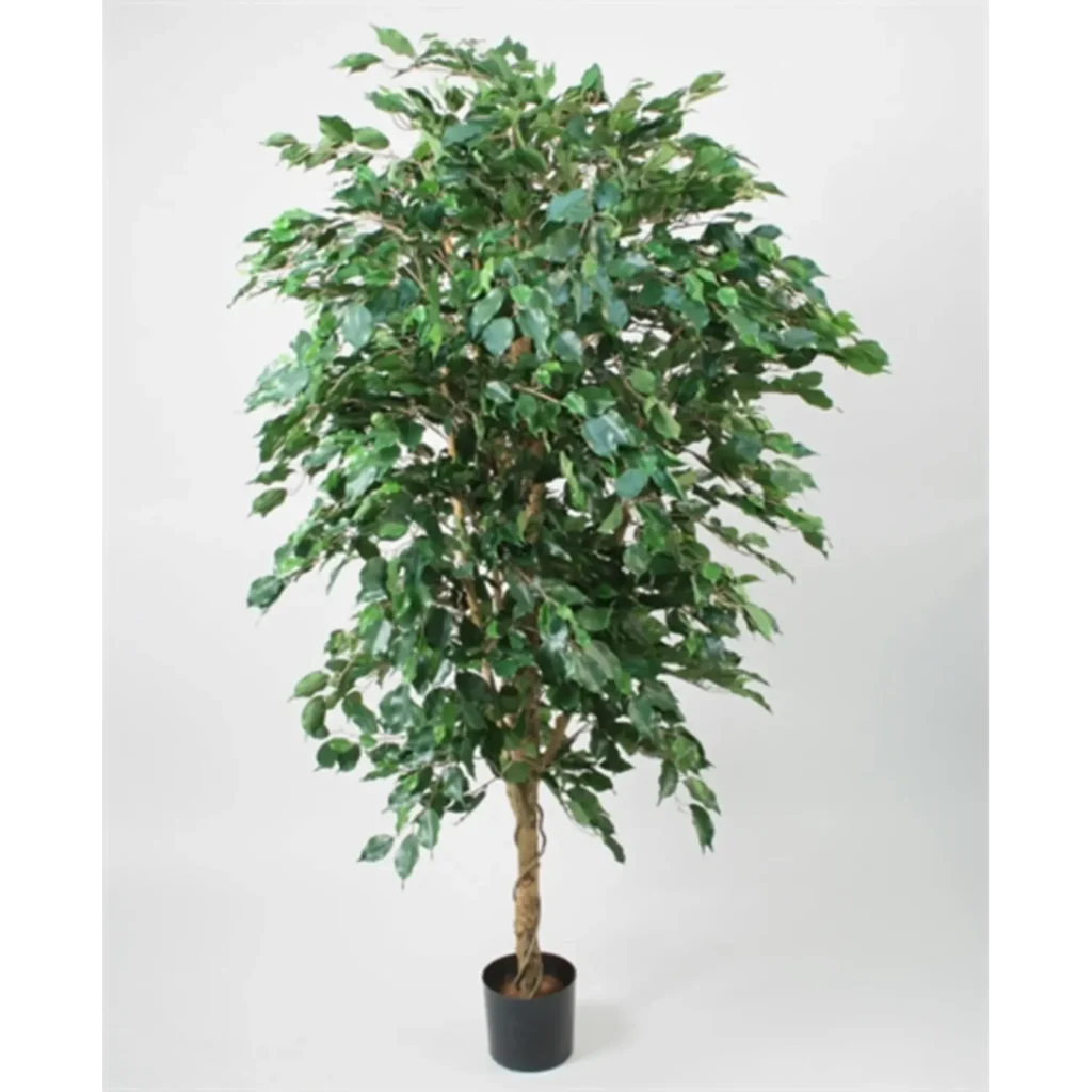 Kunstig Ficus H: 170 cm.