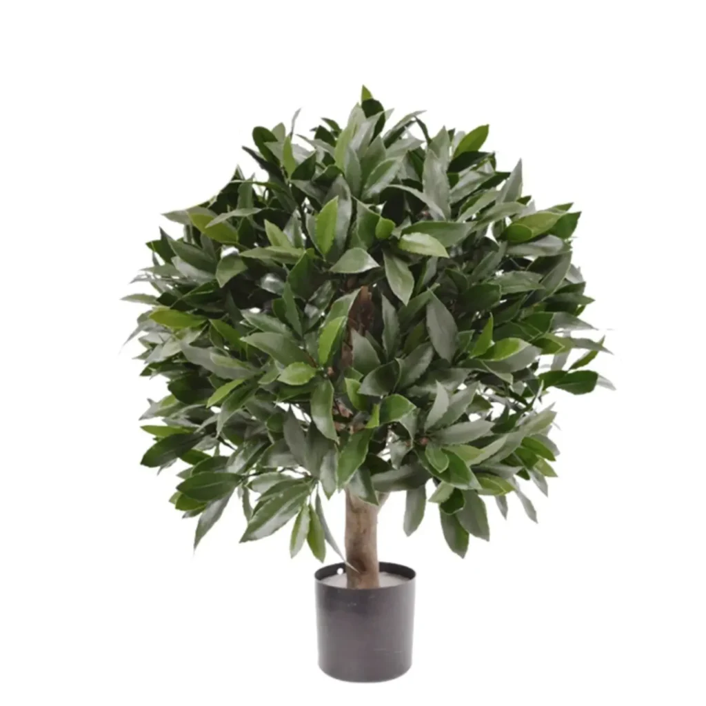 Kunstig Laurus nobilis UV 50 cm.