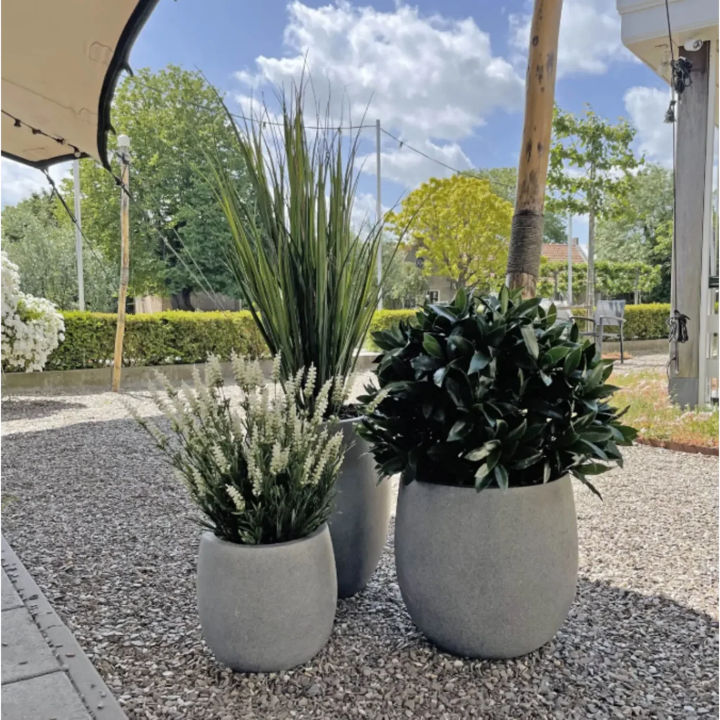 Kunstig Laurus nobilis UV 50 cm.