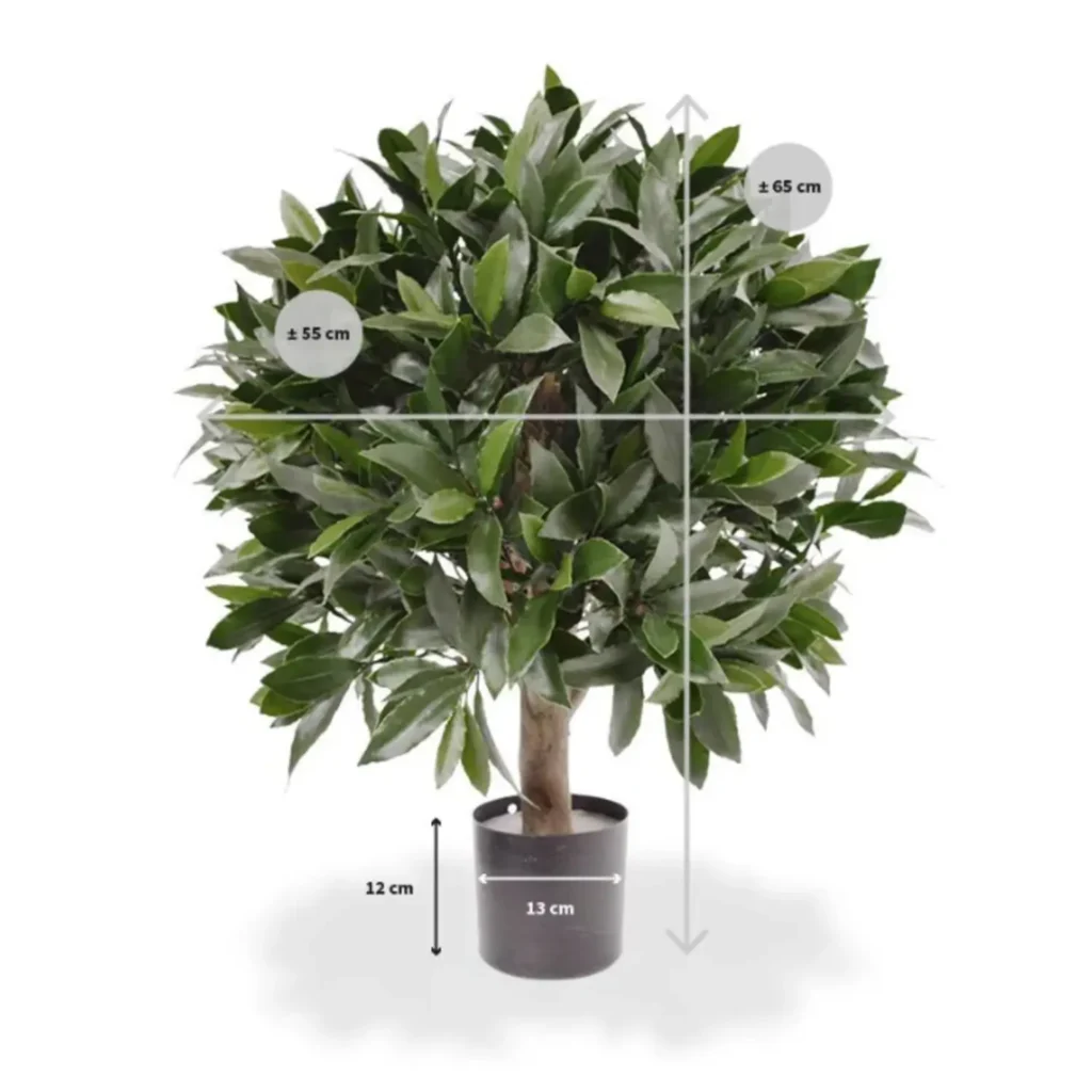 Kunstig Laurus nobilis UV 50 cm.