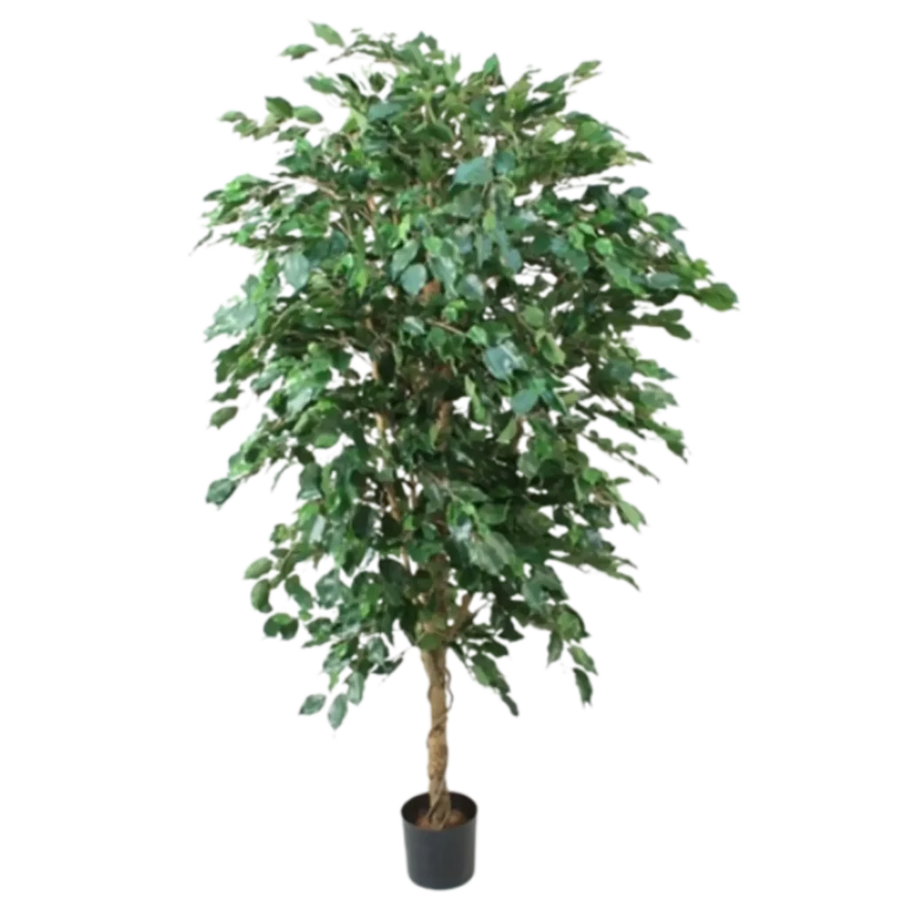 Kunstig Ficus Exotica 170 cm.