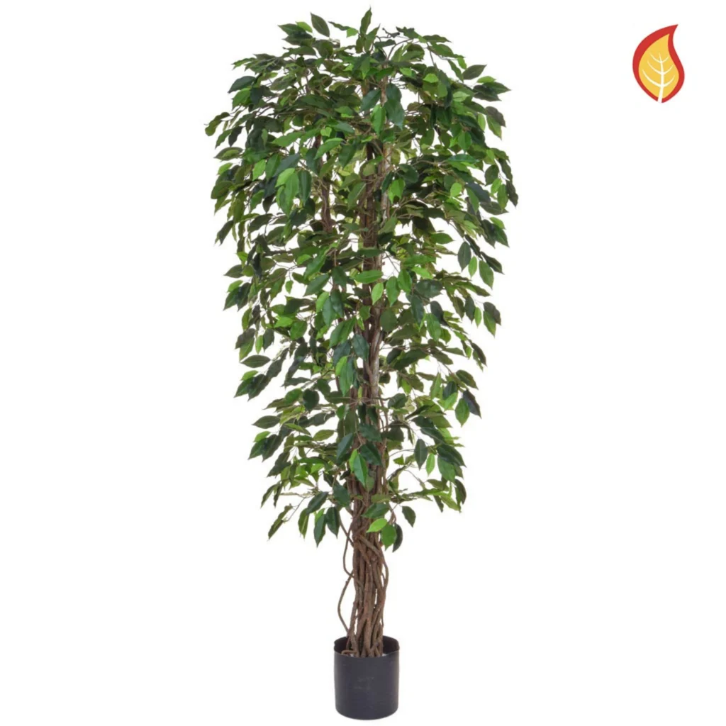 Kunstig Ficus Liana FR H: 180 cm.