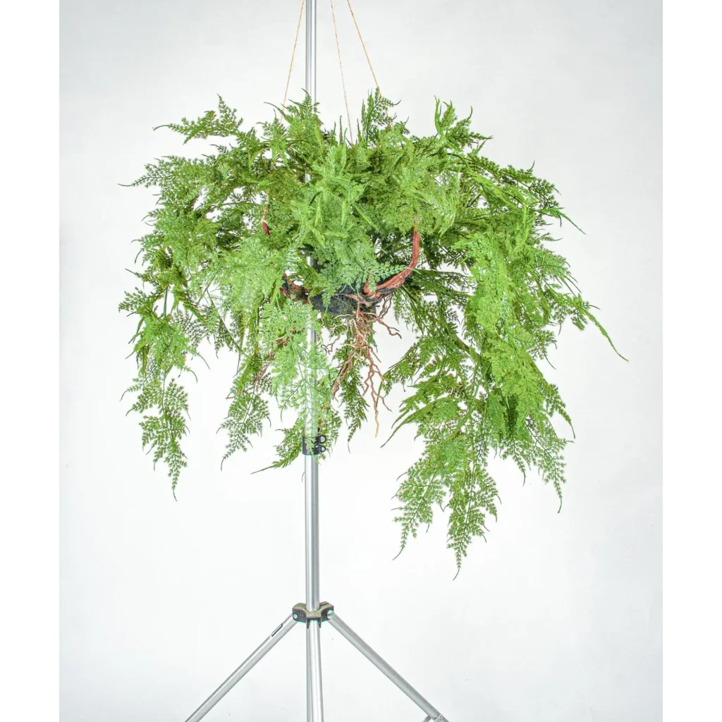 Kunstig Asparagus hængeplante 85 cm.