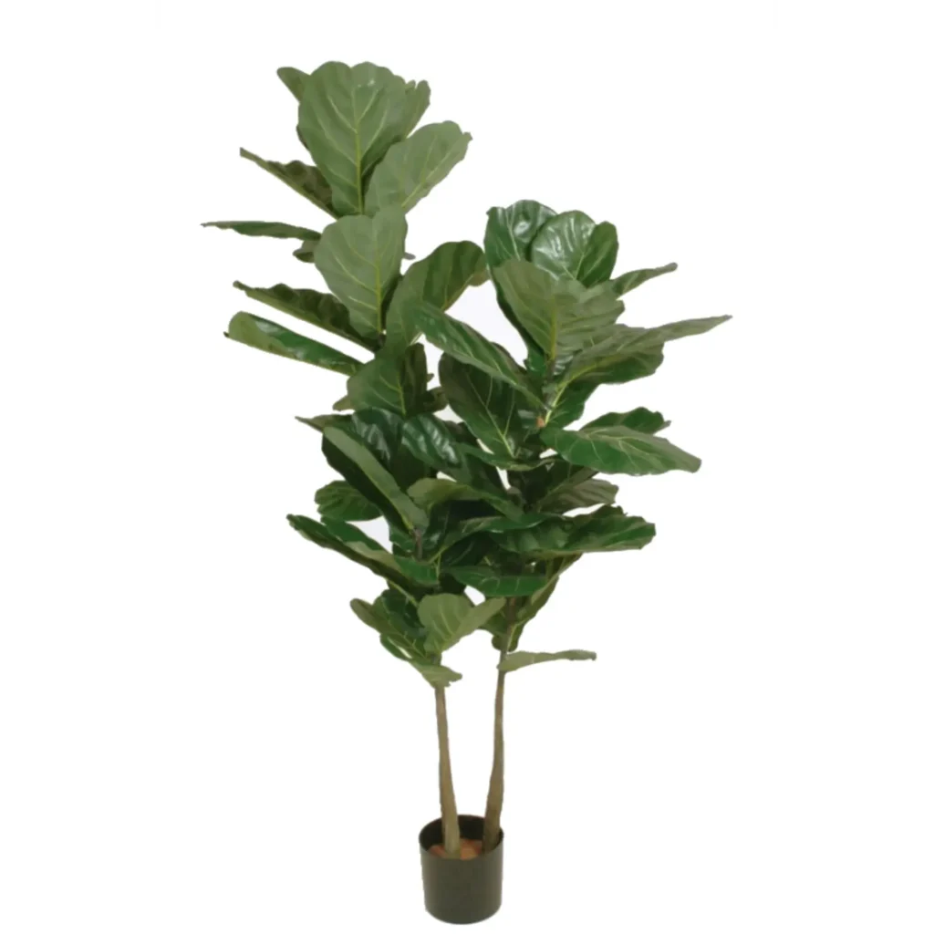 Kunstig Lyrata x 3, H 185 cm.