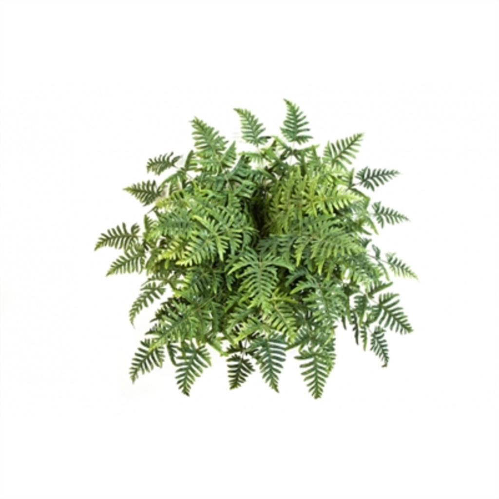 Kunstig Athyrium bregne H: 90 cm.