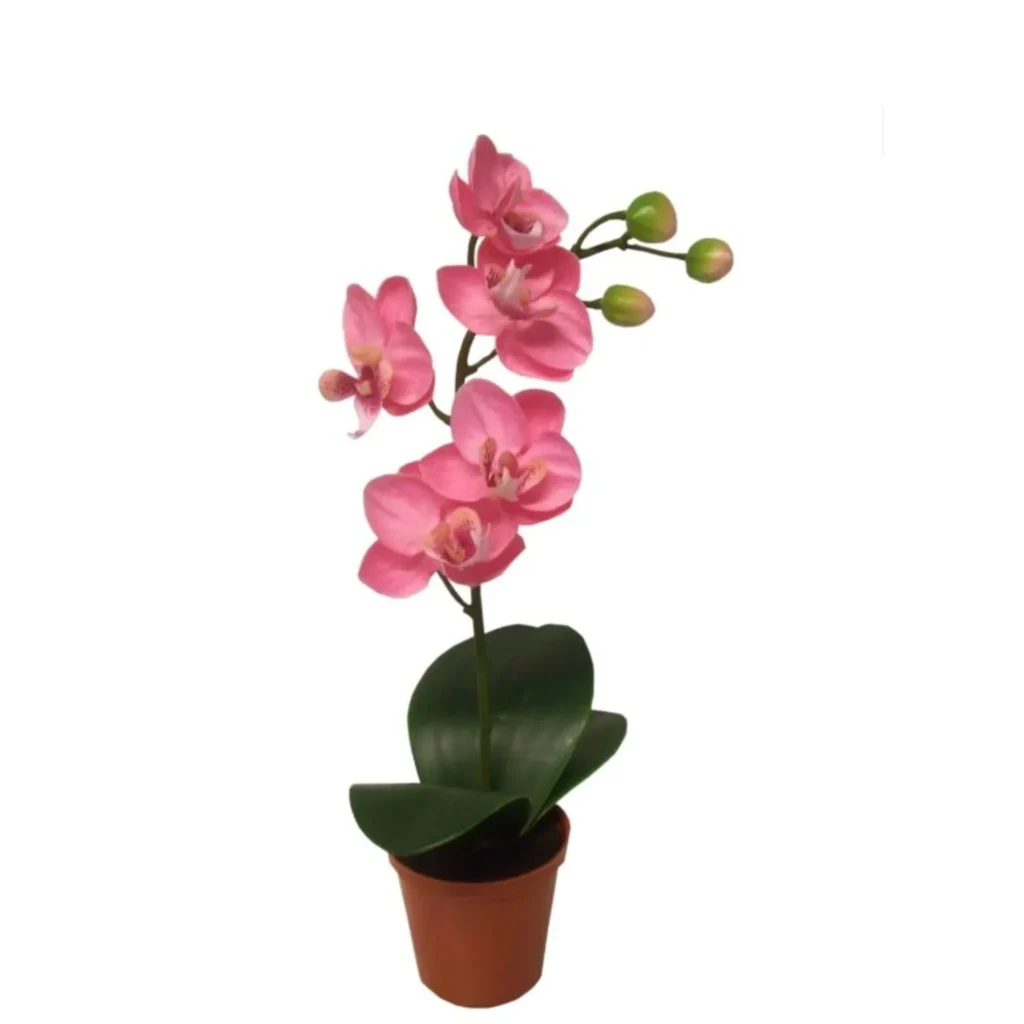 Kunstig Phalaenopsis Orchidaceae 26 cm.