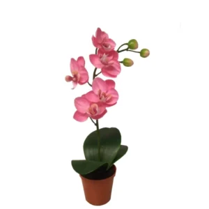 Kunstig Phalaenopsis Orchidaceae 26 cm.