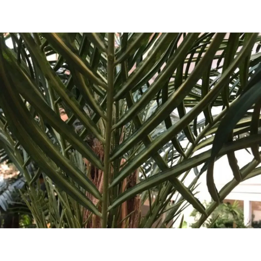 Kunstig palme H160 cm.